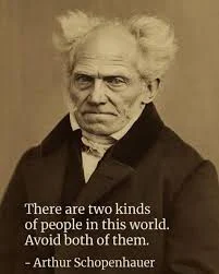The Architecture of Despair: Why Arthur Schopenhauer’s Pessimism is the Modern Antidote to Disappointment