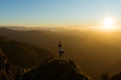 The Architecture of Letting Go: Navigating Modern Stress Through Radical Acceptance