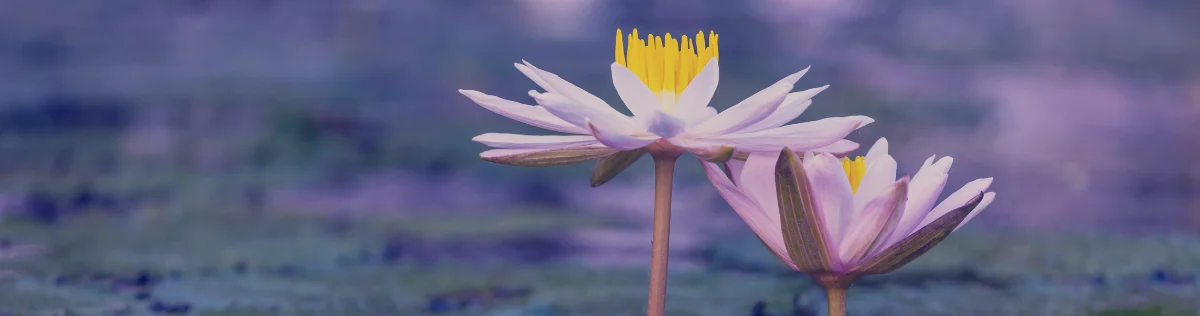 The Audacity of Joy: UPLIFT’s Call to Conscious Positivity Amidst Global Challenges