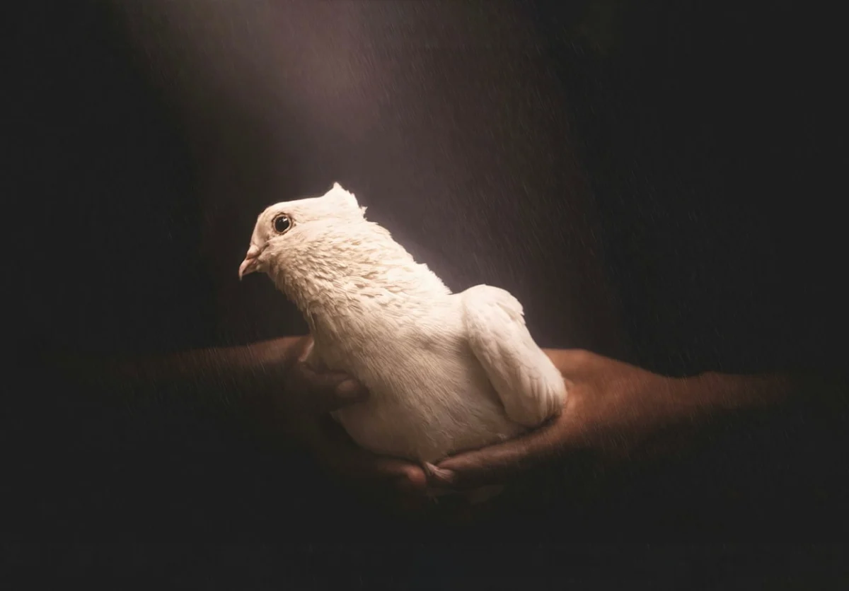 Unlocking the Unseen Burden: The Transformative Power of Grief Work