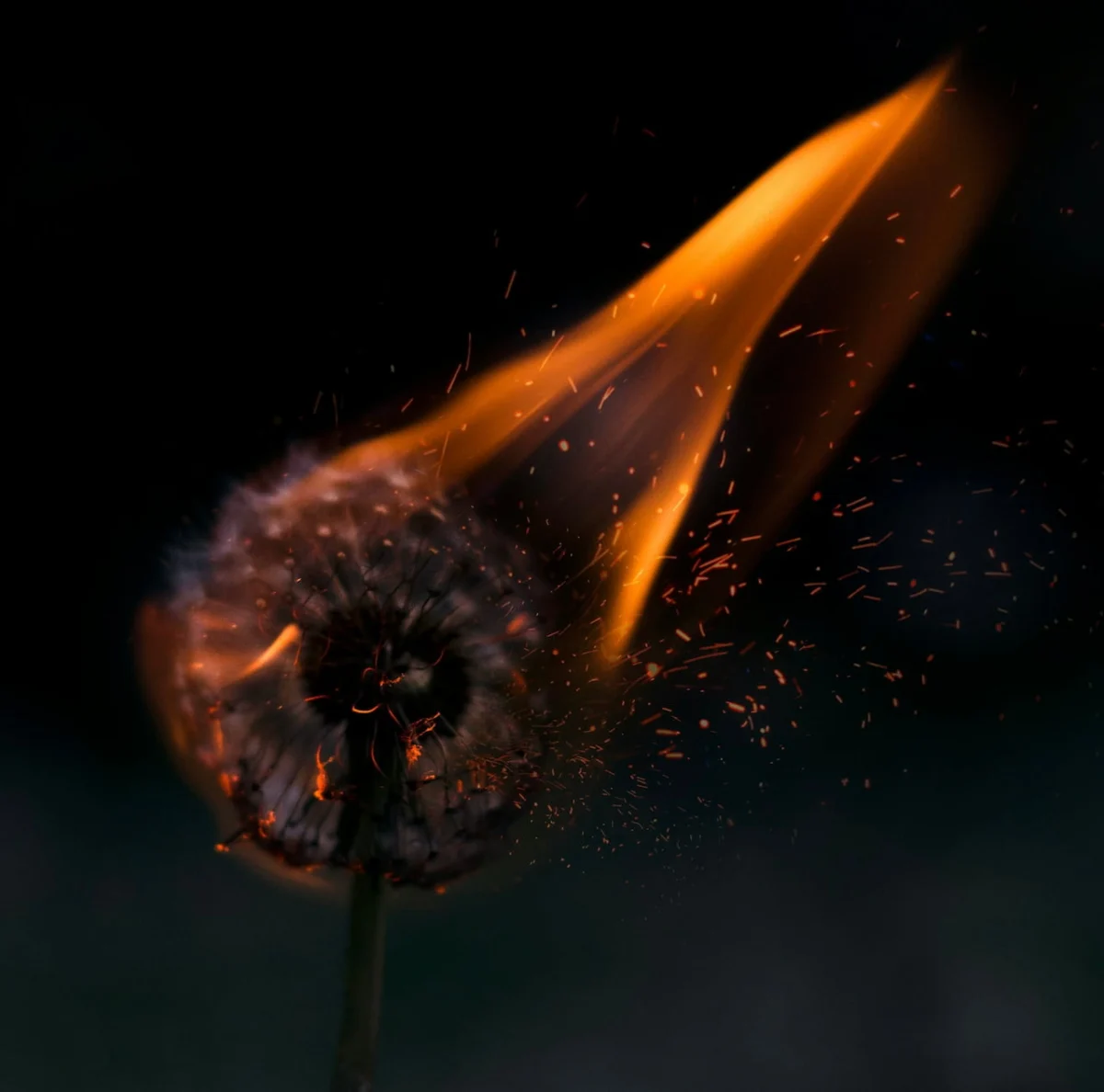Unmasking the Lingering Echoes: A Deep Dive into Childhood Trauma and the Path to Soul Recovery