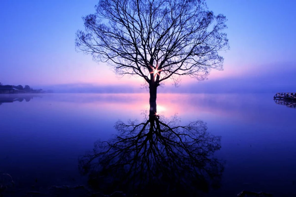 Unlocking the Deep Self: Navigating the Subconscious for Profound Transformation