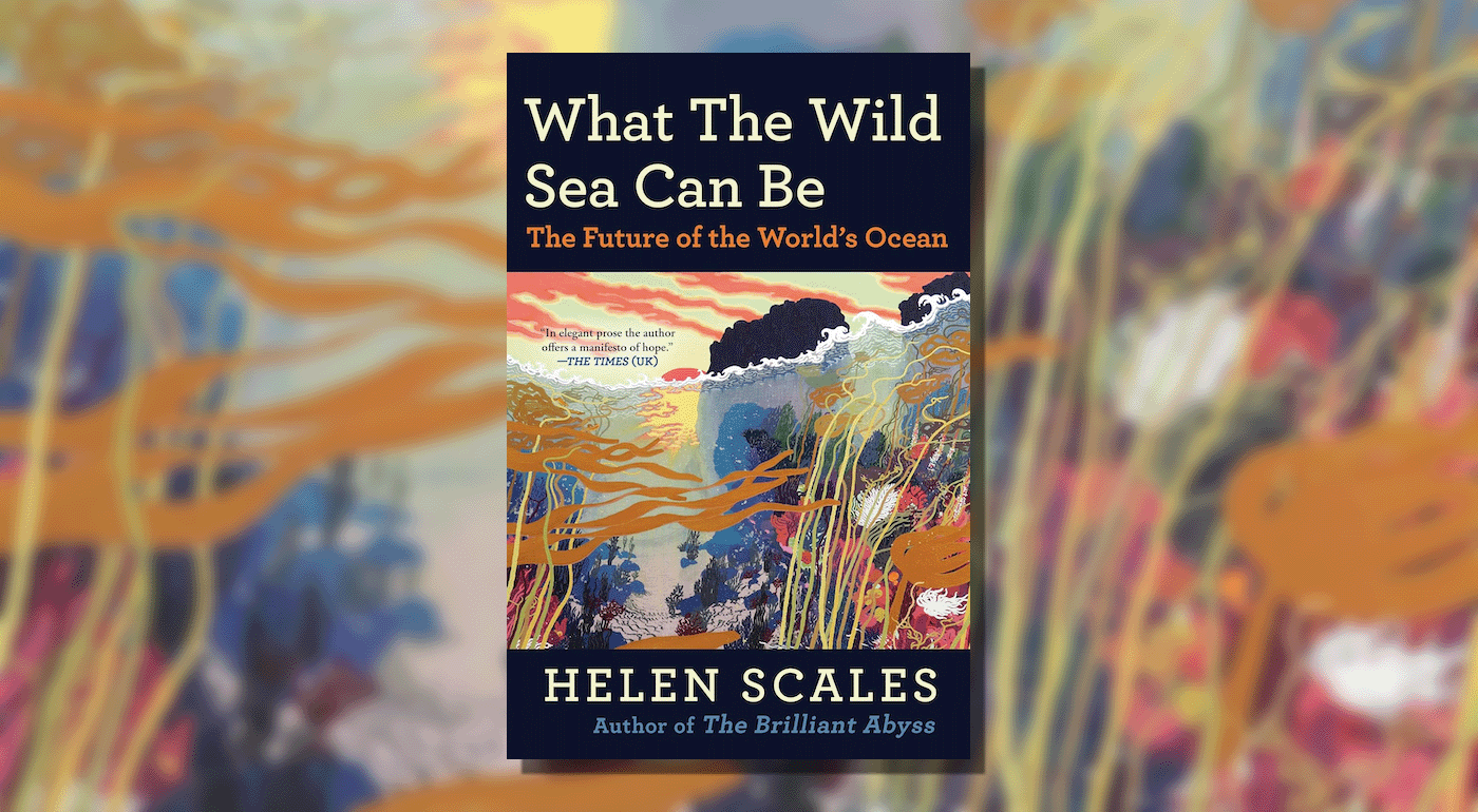 Charting the Uncharted: Helen Scales Dives Deep into the Future of Our Oceans