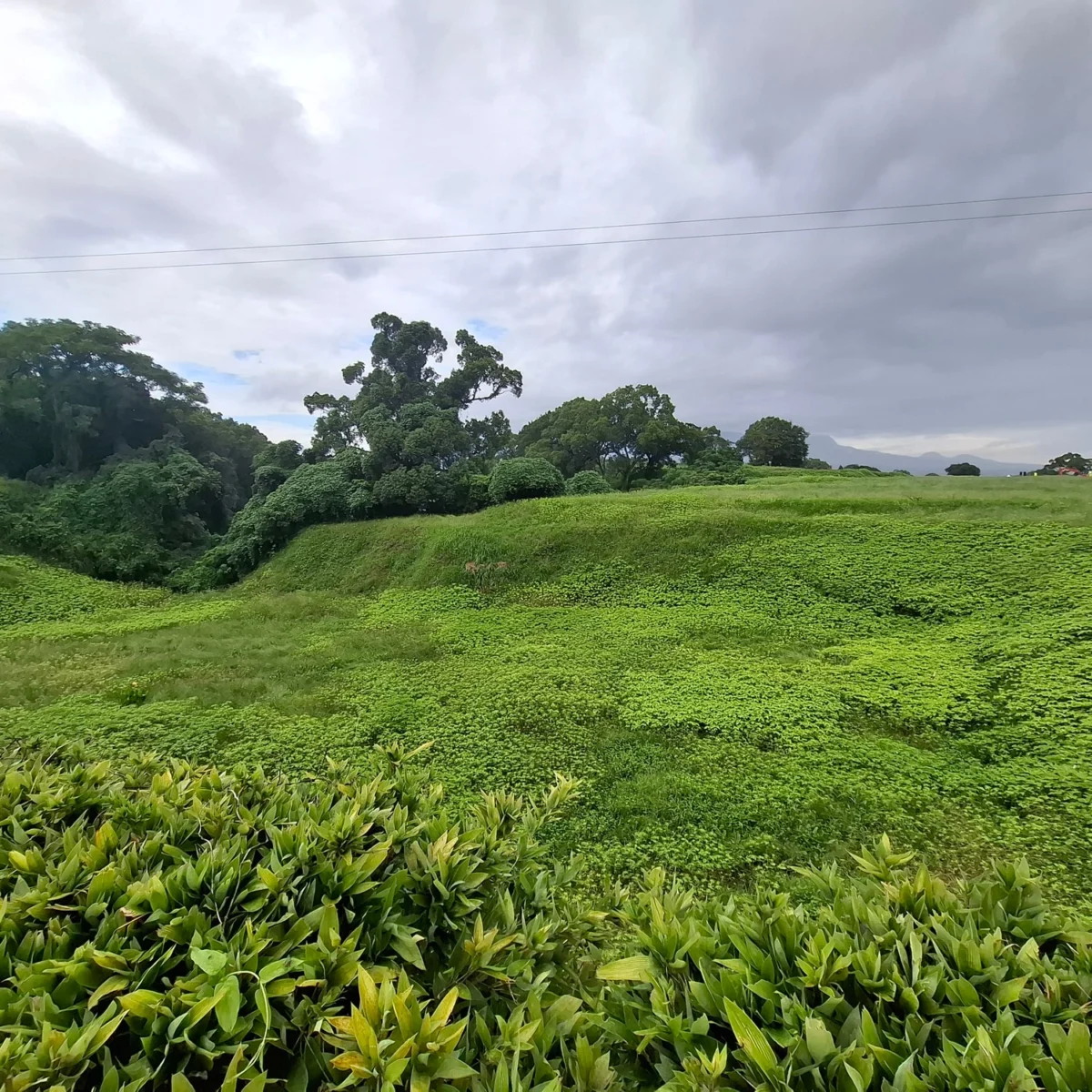 Hara Castle: A Crucible of Faith and Rebellion in Feudal Japan
