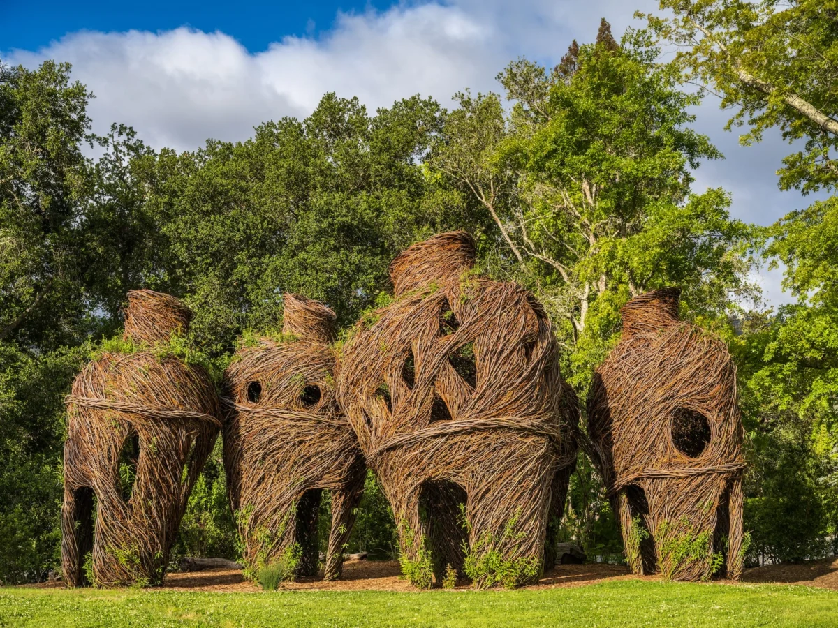 The Architect of Saplings: Patrick Dougherty and the Four-Decade Evolution of ‘Stickworks’