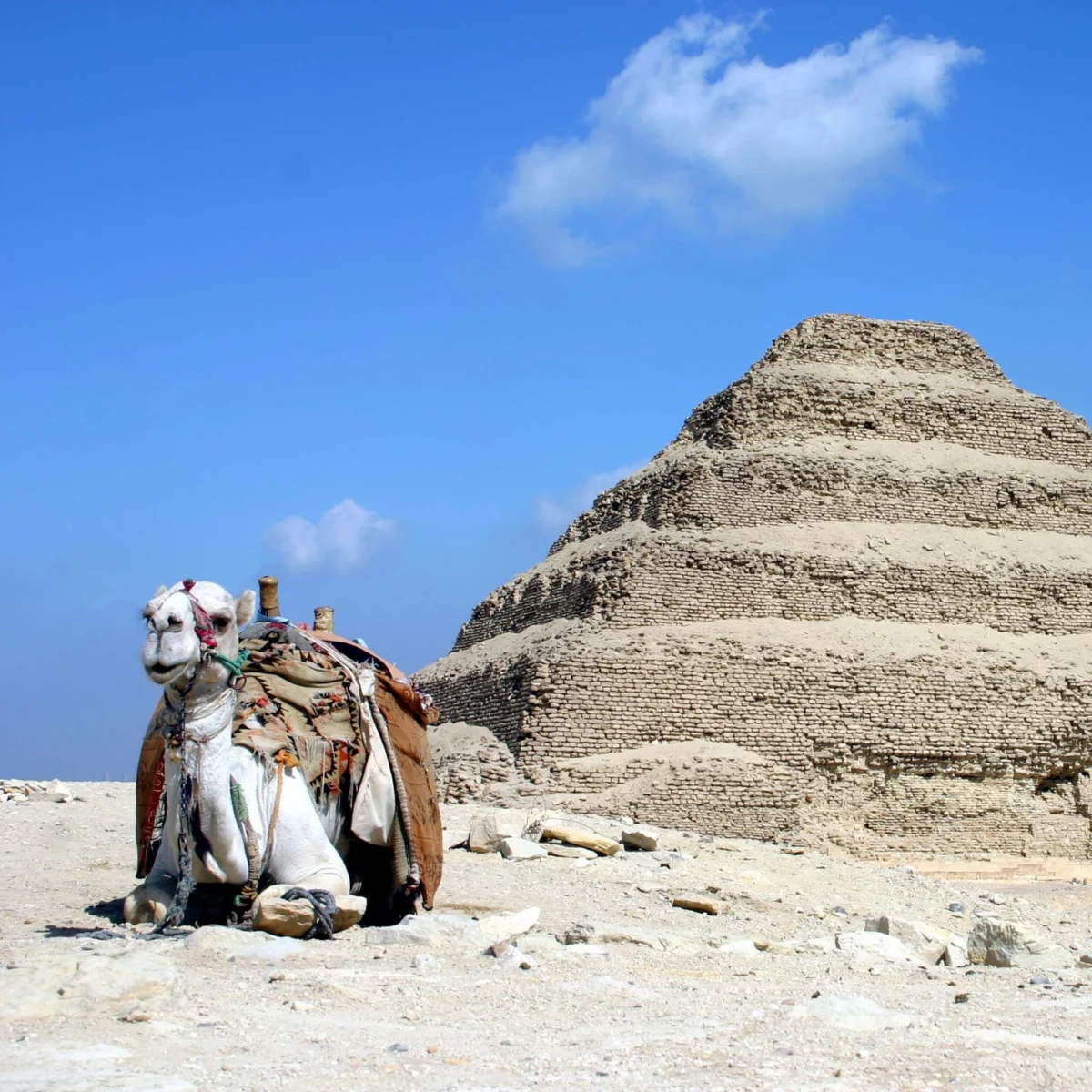 The Dawn of a Civilization: Unpacking Egypt’s Early Dynastic Period