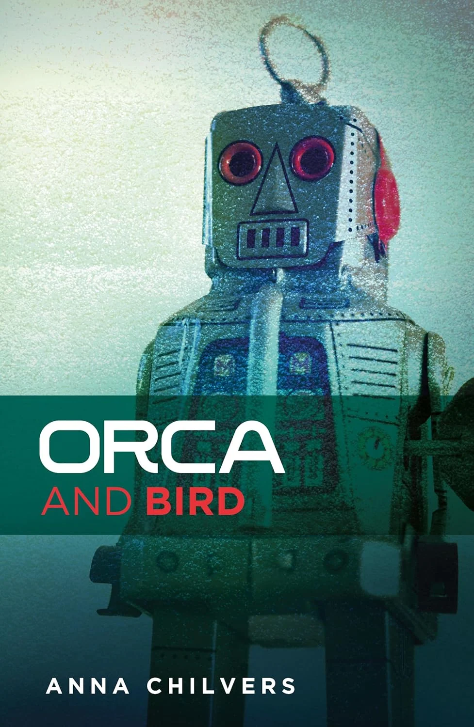 The Enigmatic Depths of "Orca and Bird": A Journey Through Identity, Trauma, and Verdant Mysteries