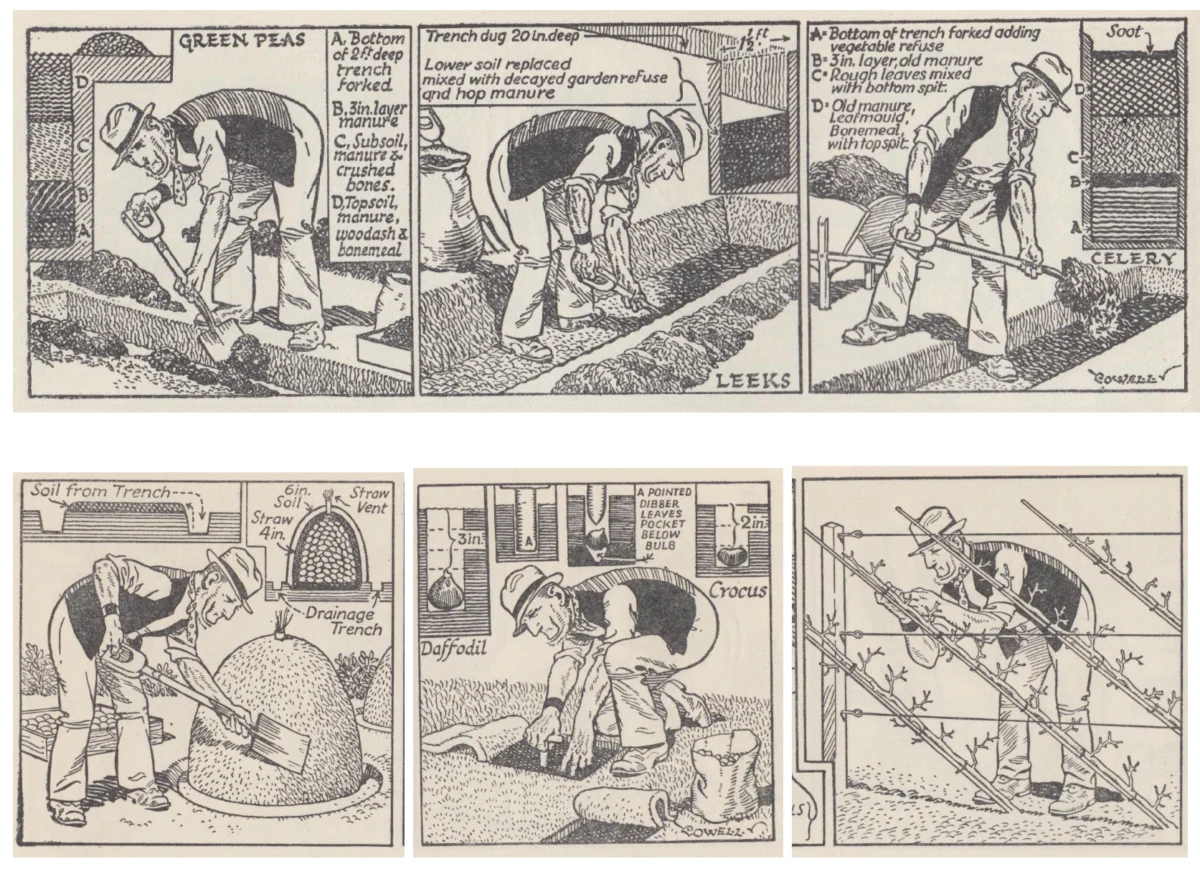 The Eternal Allotment: Reinterpreting the Legacy of Adam the Gardener